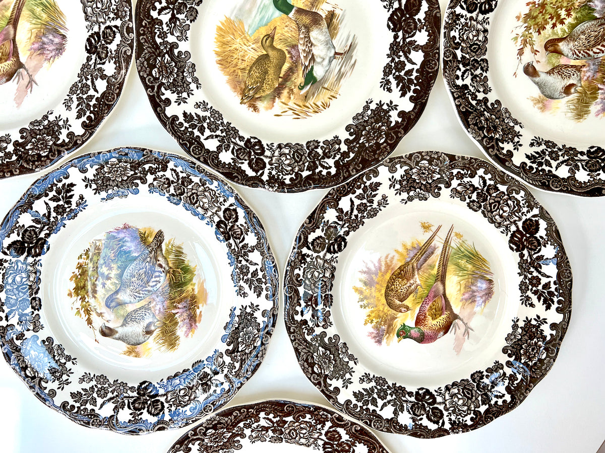 Palissy Pottery (England) 'Game Series Birds' Dinner Plates (set x6