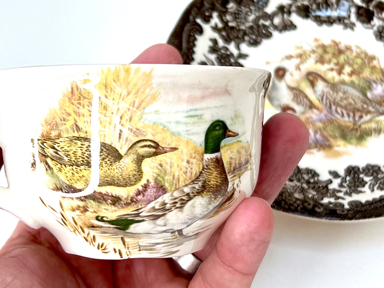 Palissy Pottery (England) 'Game Series Birds' Teacups and Saucers (s