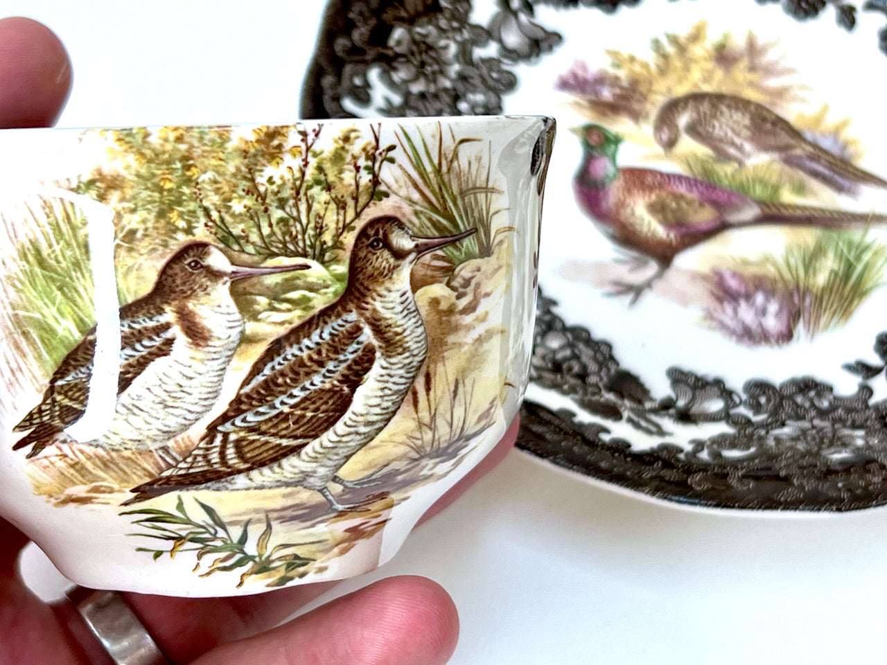 Palissy Pottery (England) 'Game Series Birds' Teacups and Saucers (s